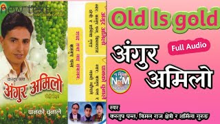 Angur Amilo /अंगुर अमिलो / Full Audio Original mp3 /Bimal Raj Chhetri, Kastup Pant & Sarmila Gurung