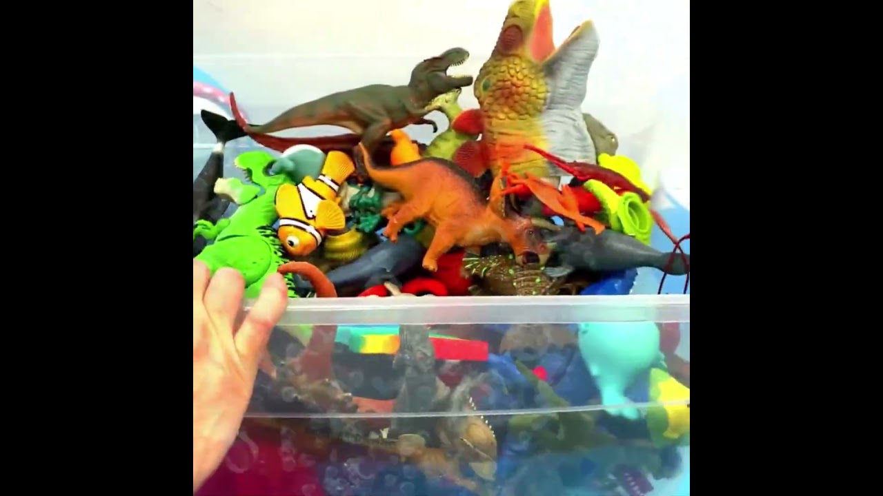 Что в коробке? 🥣 🦖 Лобстер, морж и тираннозавр!