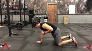 Quadruped Pulldown