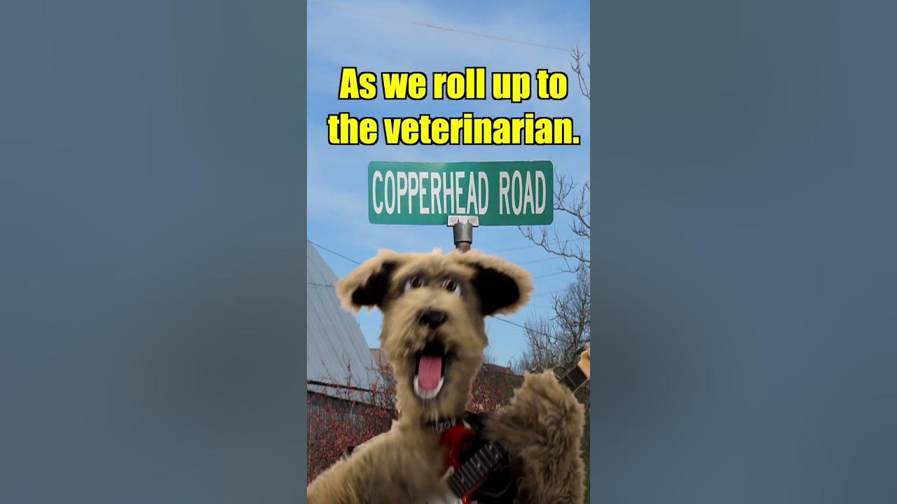 Steve Earle - Copperhead Road. Steve Earle - Copperhead Road.