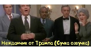 Нежданчик от Трампа (Сучка озвучка)