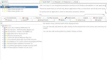 Whiz, Bang, ZAP! An introduction to OWASP