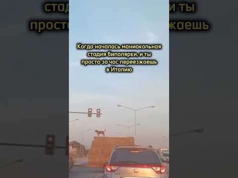 Все про переезд и поступление в Италию у нас на канале #италия #вузблог #учебазаграницей #универ