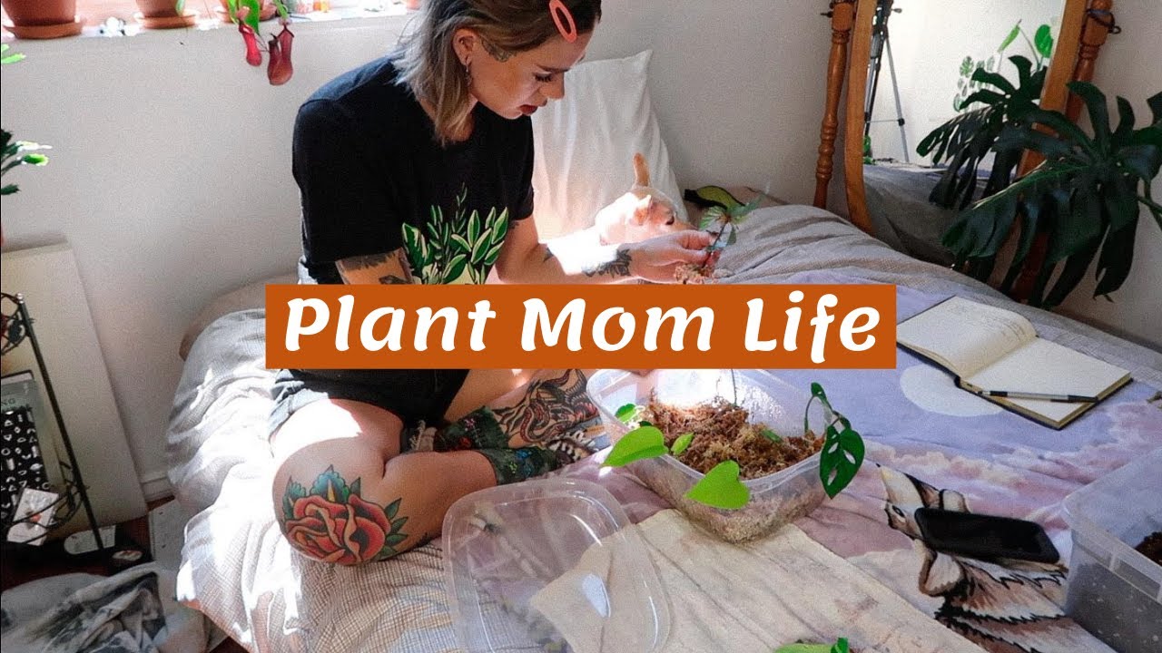 Life Of A Plant Mom | Plant Chore Vlog! Potting, watering, propagating