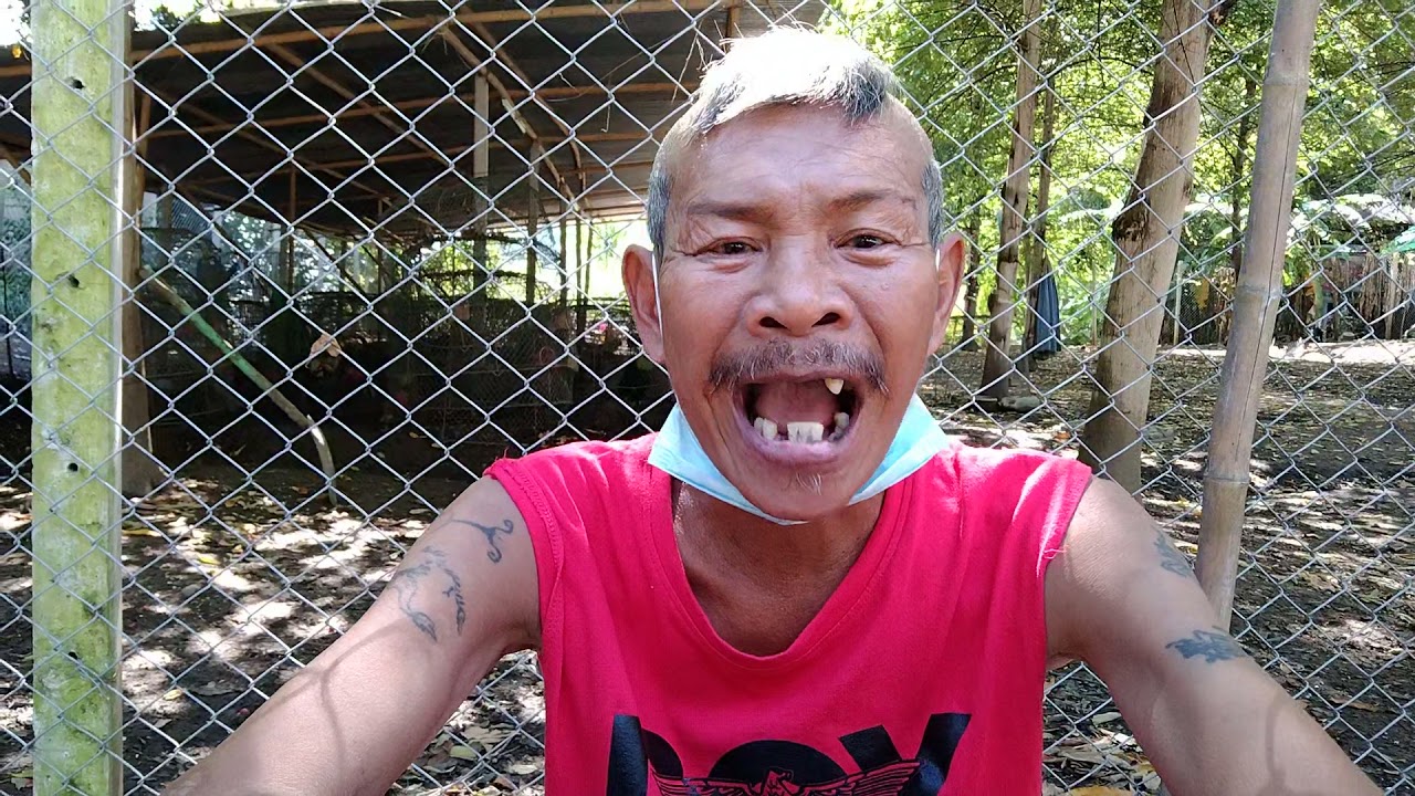 รีวิวผักขี้ฮุด โดยชัยลาวา..