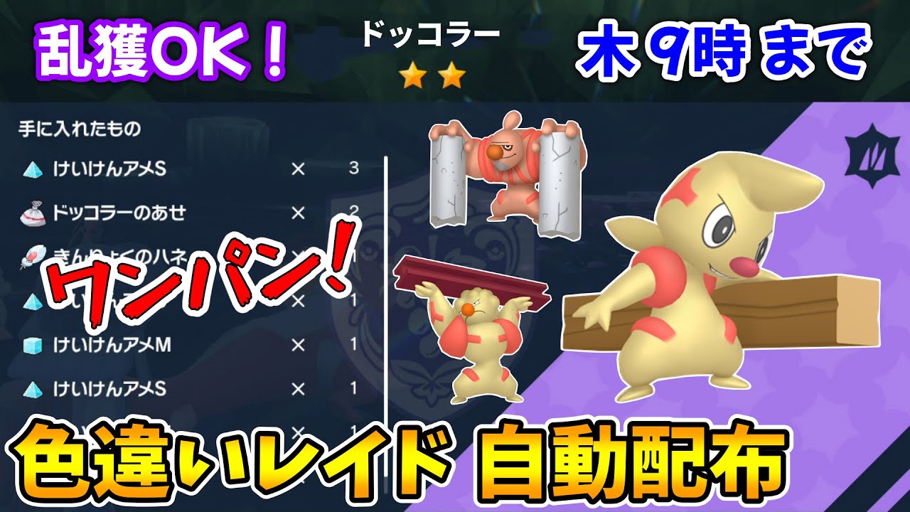 乱獲OK！ドッコラー色違いレイド自動配布会！【ポケモンSV】 - YouTube