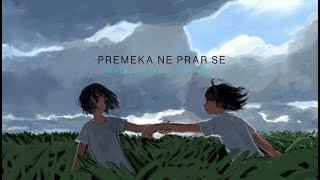 PREMEKA NE PRAR SE | premika ne pyar lofi song  #love #lofi