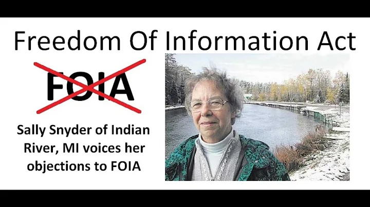 Sally Snyder-Speaks Against FREE FOIA 2-7-2017