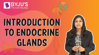 Endocrine Glands - Introduction