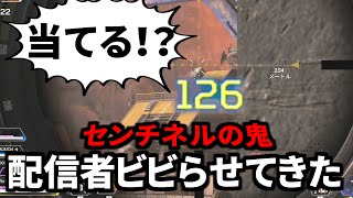 賞金100万円大会の練習試合でセンチネル炸裂！大物配信者達をビビらせてきた | Apex Legends