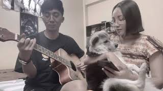 Coco Remember Me Cover