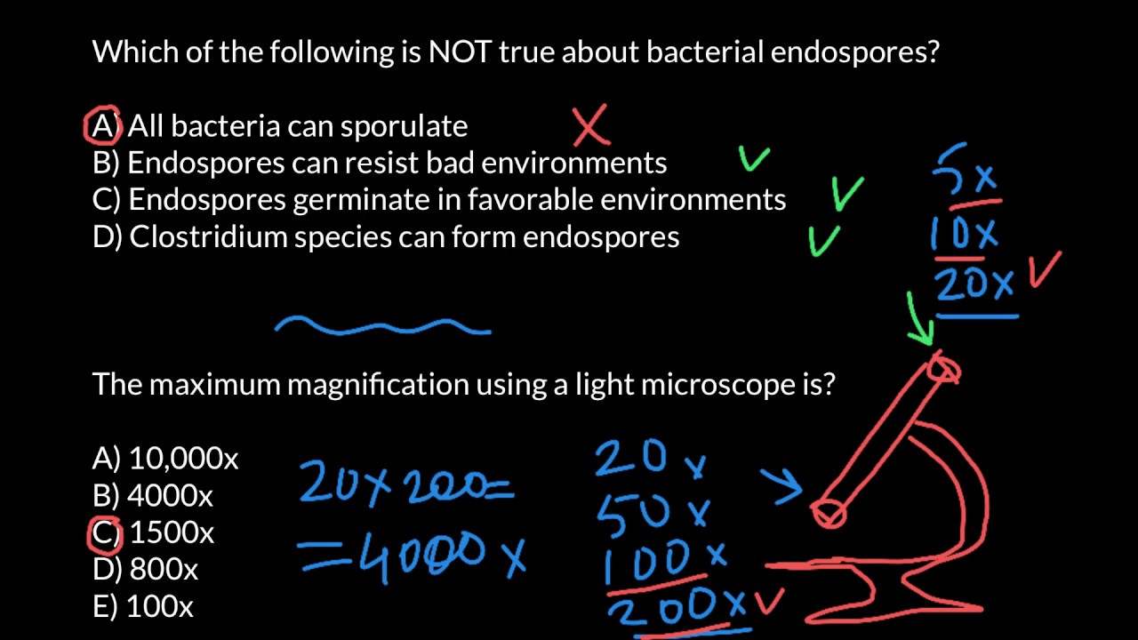 What Is The Maximum Magnification You Can Get With A Light Microscope? -  Youtube