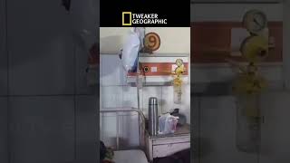 He Slept Through This !   Midnight Rat Takeover 😳#fypシ #comedyfilms #helpmemakethismakesense #funny