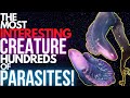 HUNDREDS OF PARASITES Created a New CREATURE... HERE IS THE STORY
