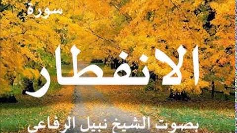 سورة الانفطار بصوت الشيخ / نبيل الرفاعي 82