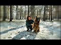 Герой рубрики «Живая среда»: интеллигентный пёс Бакстер породы немецкая овчарка