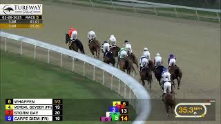 RACE 5 PROGRAM 3/28/2025