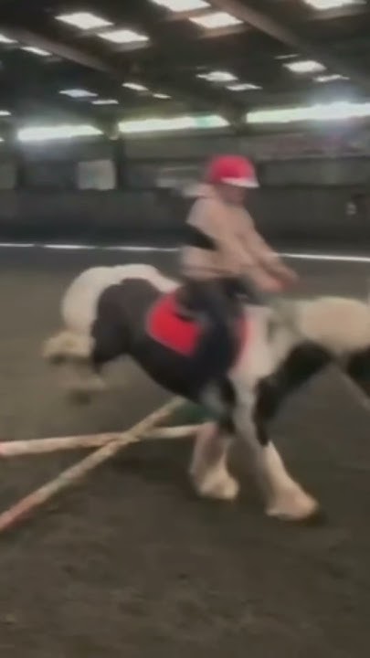 little-jump-someone-teach-me-how-to-count-strides-horses-horsey
