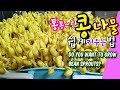 [ENG sub]콩나물 통통하게키우는방법. 작은바구니에길러서수확하기*콩나물해장라면, 콩나물키울때 주의할점!! How to grow plump bean sprouts.