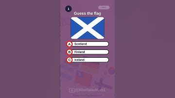 Guess the flag quiz No.19  #flag  #quizzes
