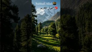 The Translation of Quran Majeed 💖Subhan Allah🕋#quran#islamicshorts#shortvideo#viral#explore#mrbeast😎