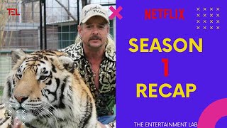 Tiger King Season 1 RECAP in HINDI || Netflix