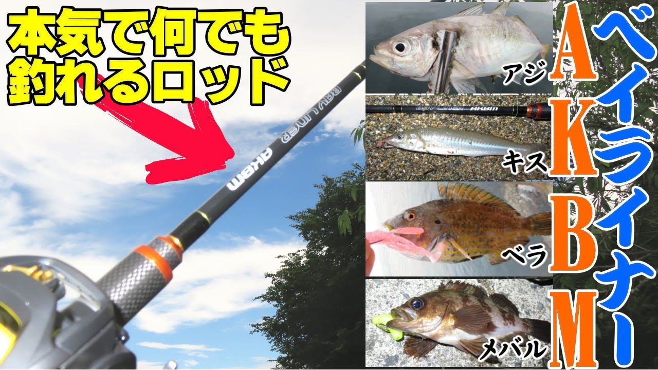 本気で何でも釣れるベイトフィネスロッド】を追求した結果がコレ⇒ベイ