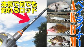 【本気で何でも釣れるベイトフィネスロッド】を追求した結果がコレ⇒ベイライナーAKBM BL-C812MLインプレ動画