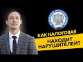 Как налоговая инспекция находит нарушителей? Строительство домов и аренда квартир. Бизнес и налоги.