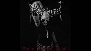 Mors Spei - Homo Homini Lvpvs