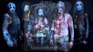 Svarttjern "Ultimatum Necrophilia" Teaser