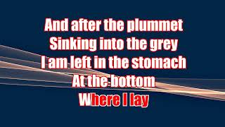Searows - Belly of the Whale (karaoke) (by request)