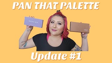 PAN THAT PALETTE 2022 // JUNE Update #1  #PanThatPalette #PanThatPalette2022 #ABHNorvina