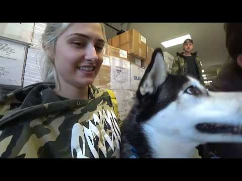 Chilling at Roman Atwood’s | Sam Pepper Live Stream - Chilling at Roman Atwood’s | Sam Pepper Live Stream