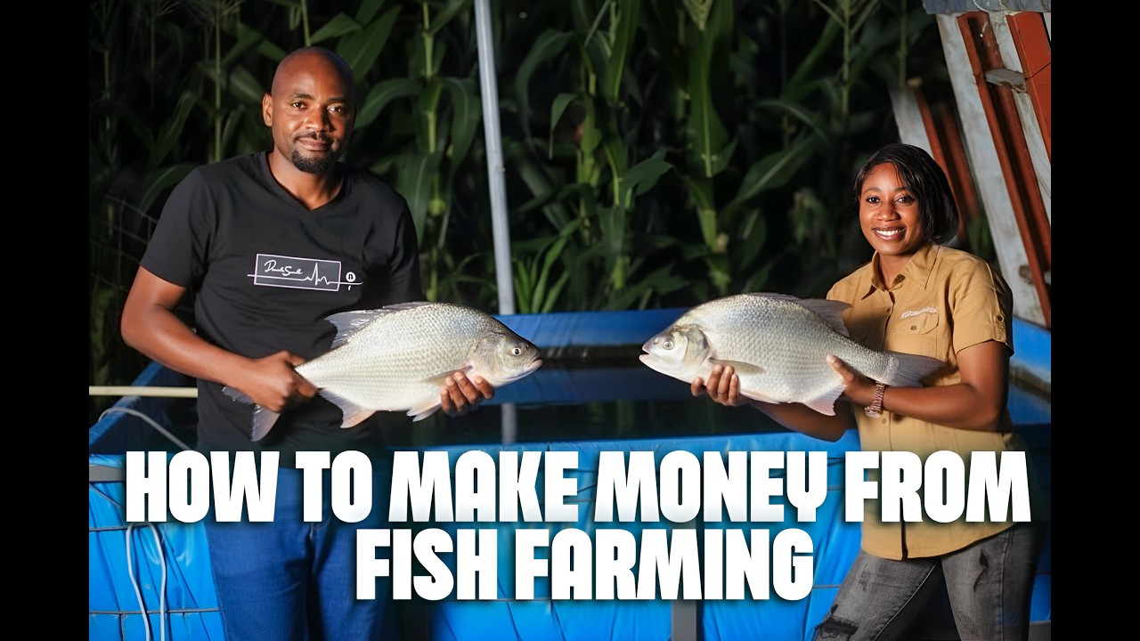 Как этот замбийский эксперт по рыбе учит людей зарабатывать деньги и экспортировать рыбу из Замбии