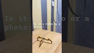 Is it a video or a photo￼ :3