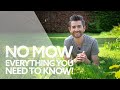 No Mow: Yes or No? | Everything You Need to Know! | No Mow May