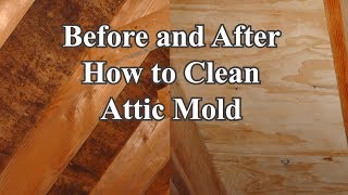 Attic Mold Cleaner