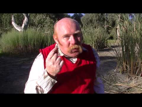 Explaining The Dangerous Miracle Of Fatima Fraud 