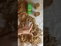 Oddly Satisfying Kinetic Sand Faces Crushing 🔥 | Cute Shapes Hammer SmashASMR ⚒️ #shorts #funny