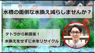 【１週間に１回入れるだけ】テトラ 水リサイクル