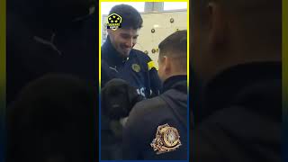 Fenerbahçede Emre Mora Yeni Can Dostu 26.01.2023