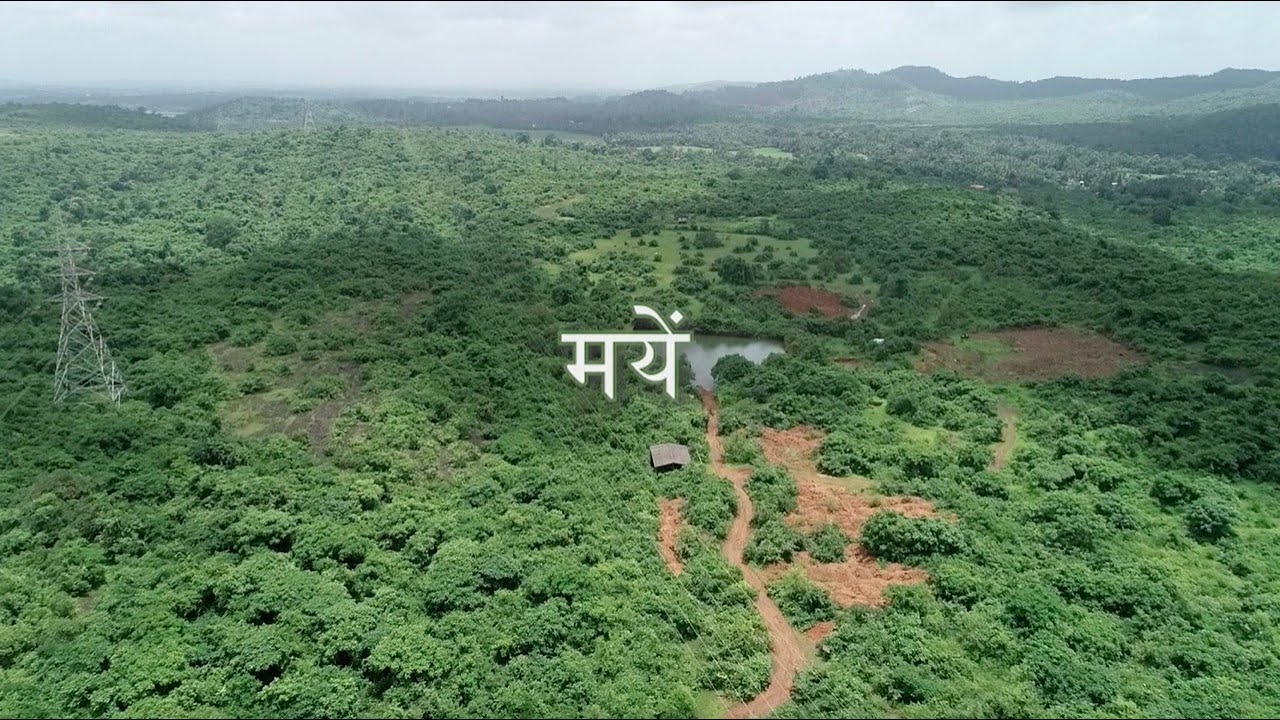 Mayem: A Confluence of Nature and Culture