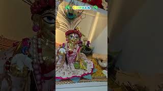 Gopala r Shringar Darshan 🙏🦚|| #gopala #shyam #krishnabhajan #radhakrishna #radheshyam #harekrishna
