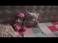 An animated story