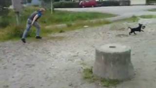 Small fat man Vs Big black hairy wild beast