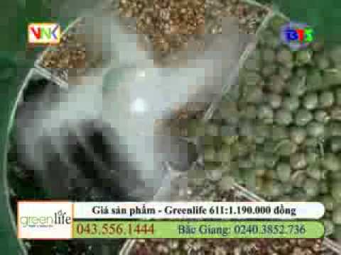 Máy làm giá đỗ, rau mầm sạch Green Life – 0989.273.682 – Giá: 650k- timemart.vn