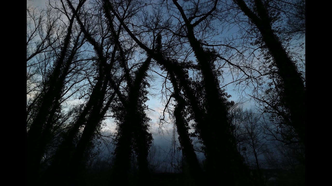 Halage Hiver (Diaporama Horizontal 396/480)