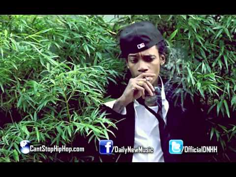 Wiz Khalifa - Started From The Bottom (Remix)