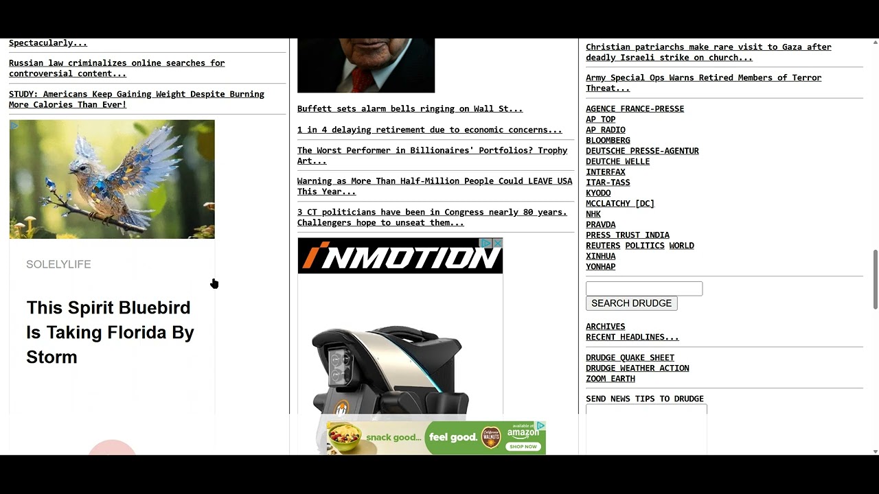 Flapping Bird Bait & Switch Advertisement